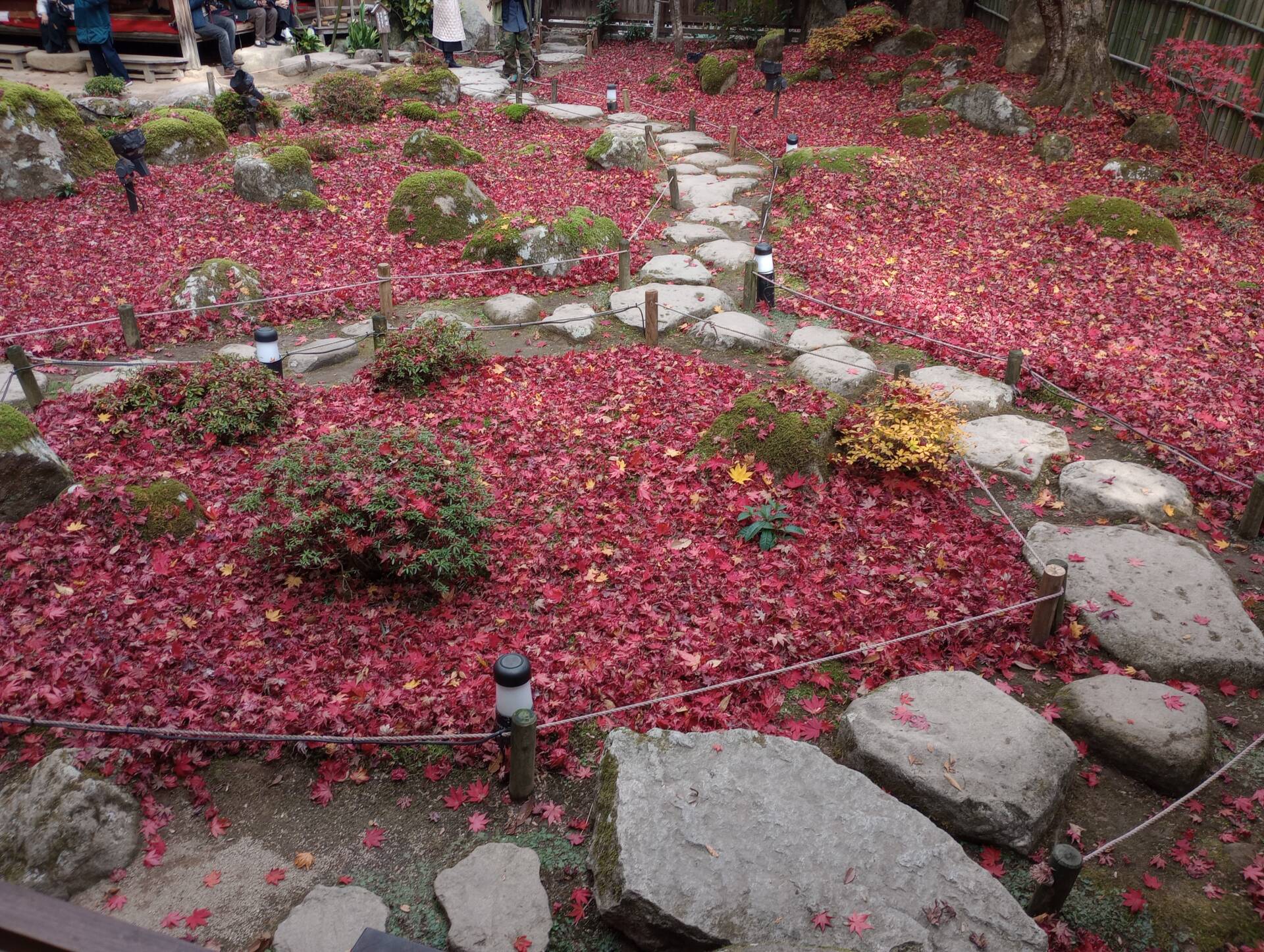 12月滋賀の旅（観光編）